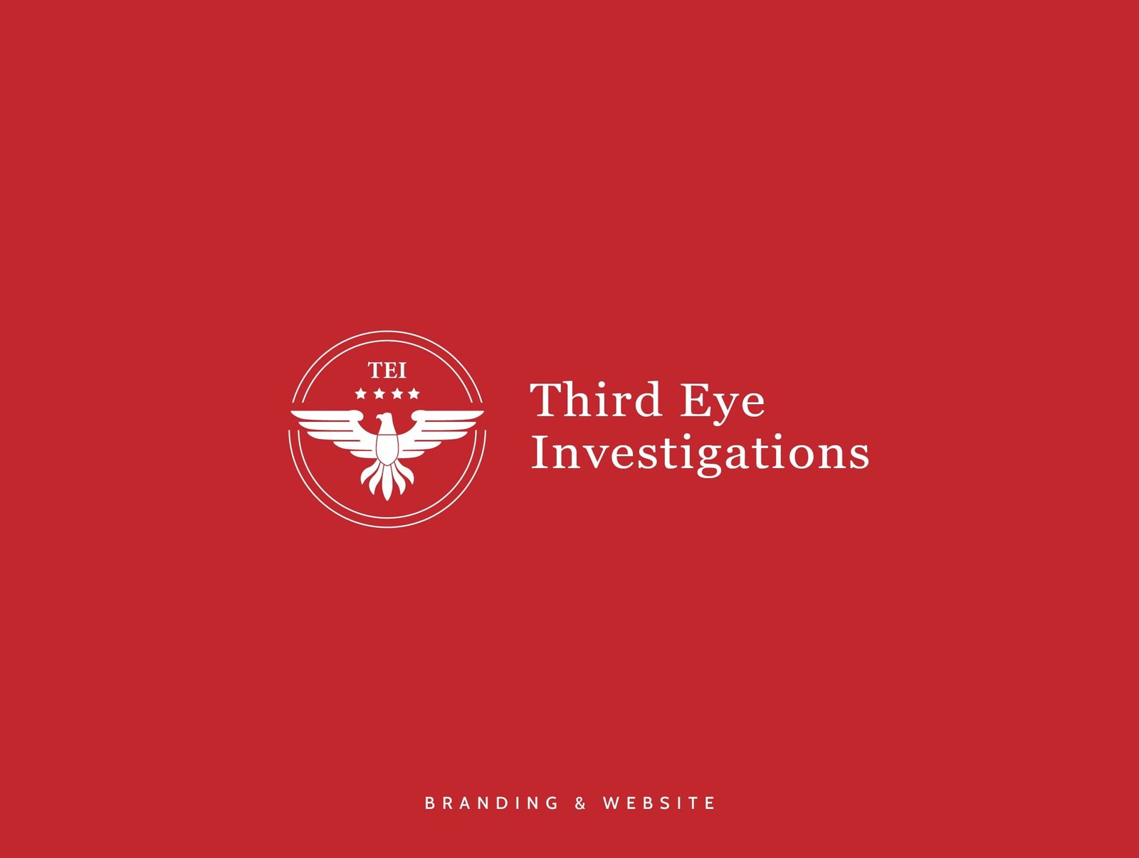 Third Eye Investigations - Logo